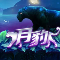 月豹 遊戲圖片