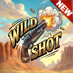 狂野之擊 遊戲圖片
