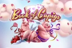丘比特之書 遊戲圖片