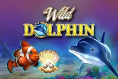 野生海豚 遊戲圖片