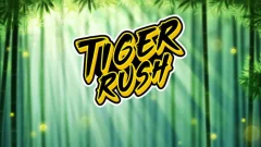 虎衝 遊戲圖片