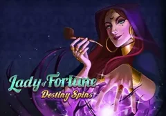 幸運女神:命運旋轉 遊戲識別圖片