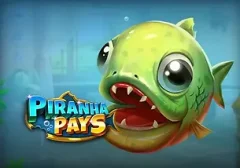 食人魚支付 遊戲圖片