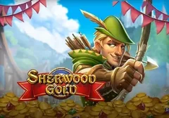 羅賓漢金礦 遊戲圖片